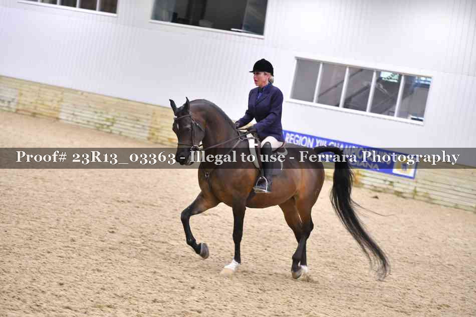 Proof 23R13_03363