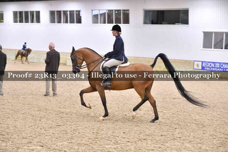 Proof 23R13_03364
