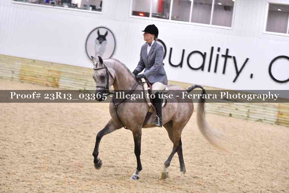 Proof 23R13_03365