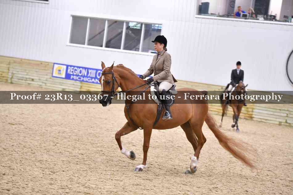 Proof 23R13_03367