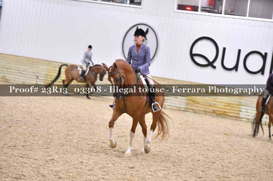 Proof 23R13_03368