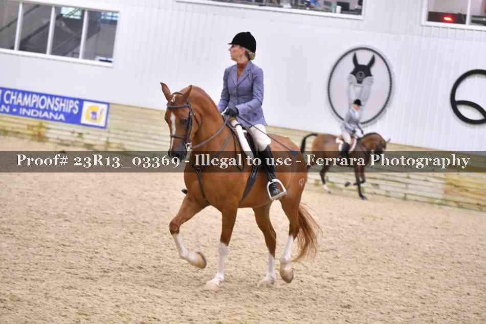 Proof 23R13_03369