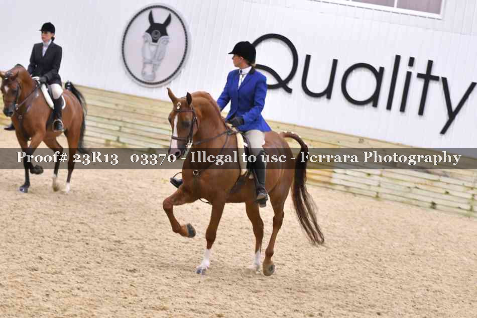 Proof 23R13_03370