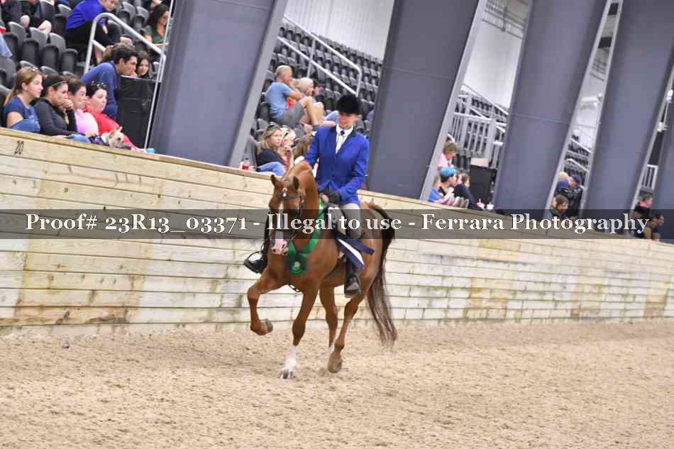 Proof 23R13_03371