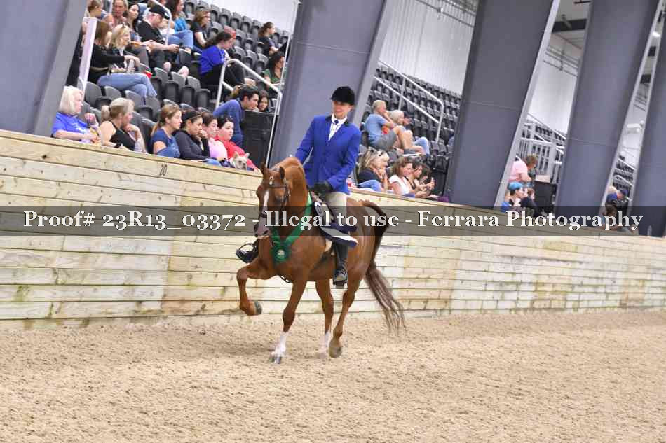 Proof 23R13_03372