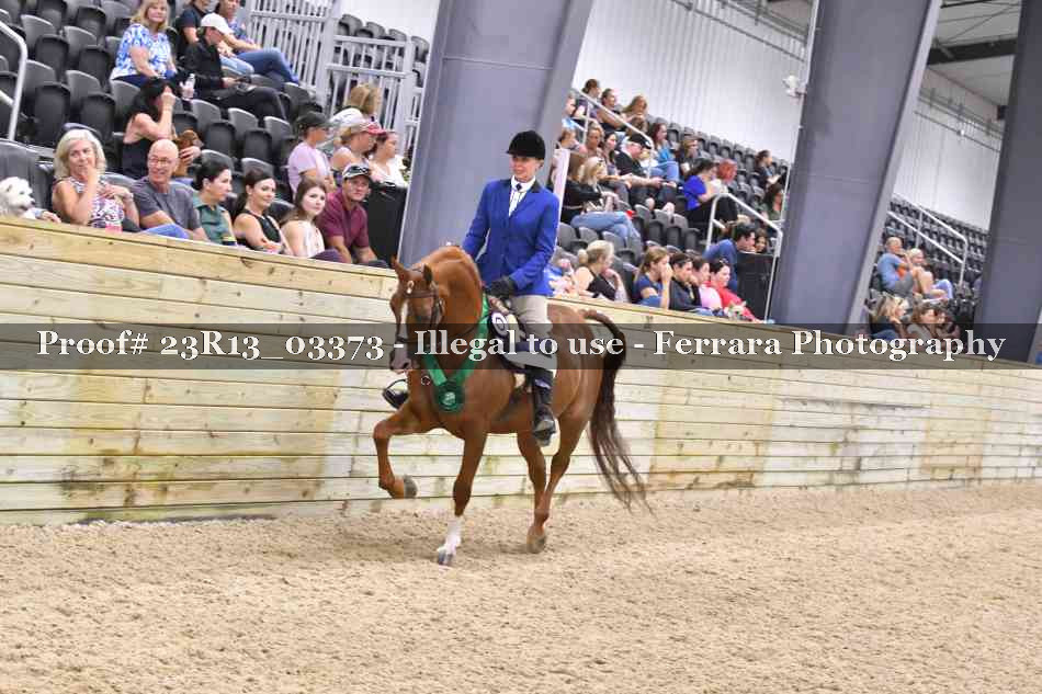 Proof 23R13_03373
