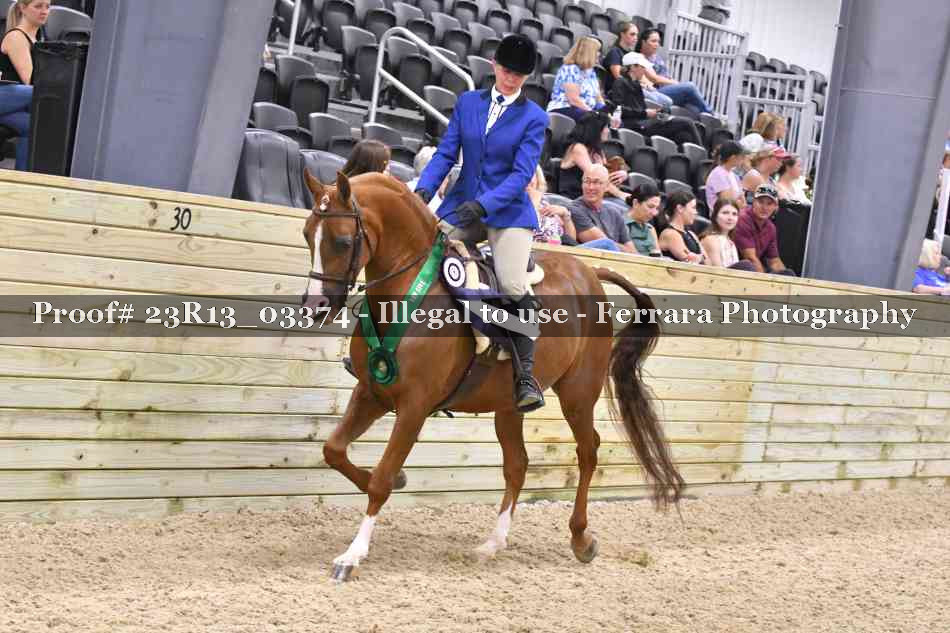 Proof 23R13_03374