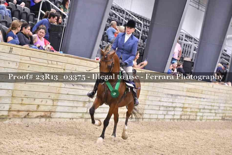 Proof 23R13_03375