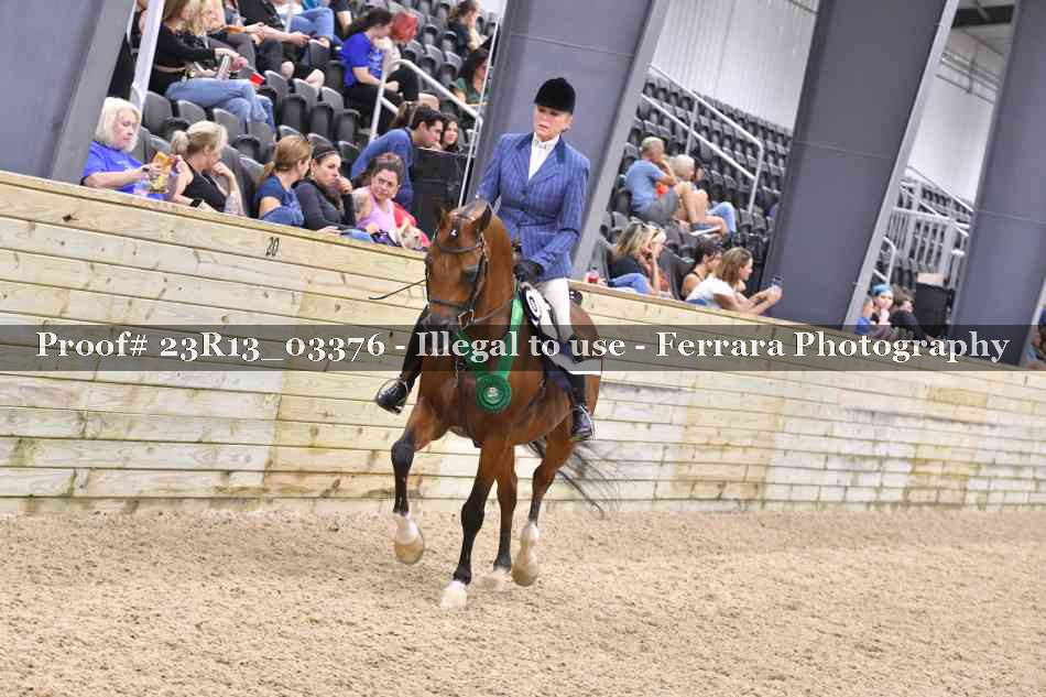 Proof 23R13_03376