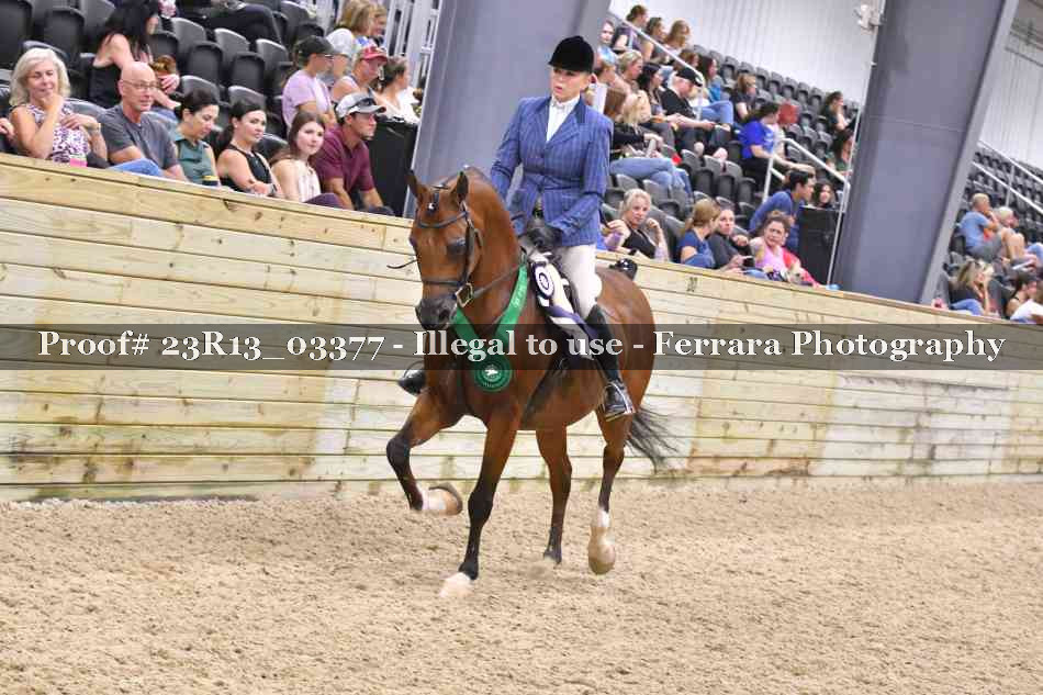 Proof 23R13_03377