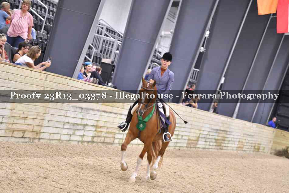 Proof 23R13_03378