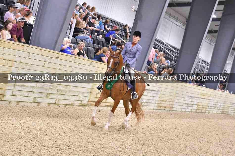 Proof 23R13_03380