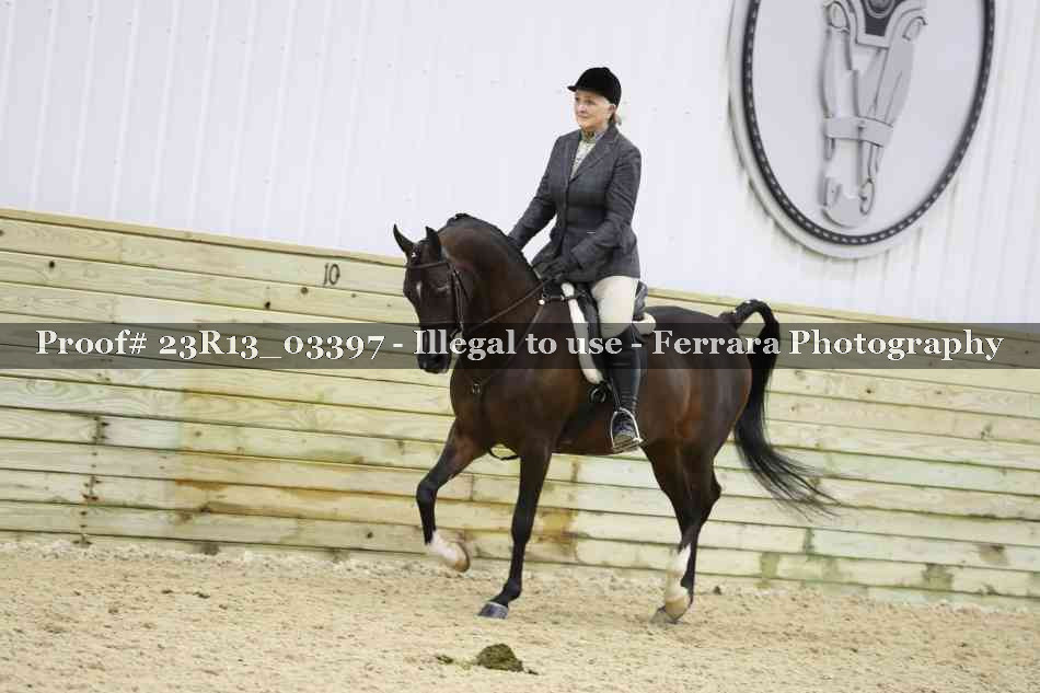 Proof 23R13_03397