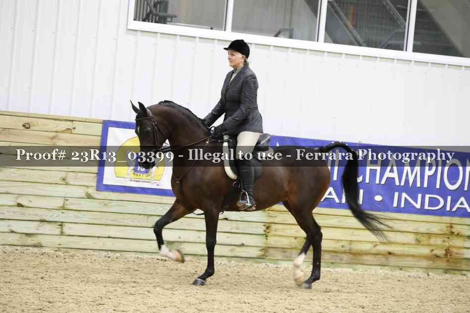 Proof 23R13_03399