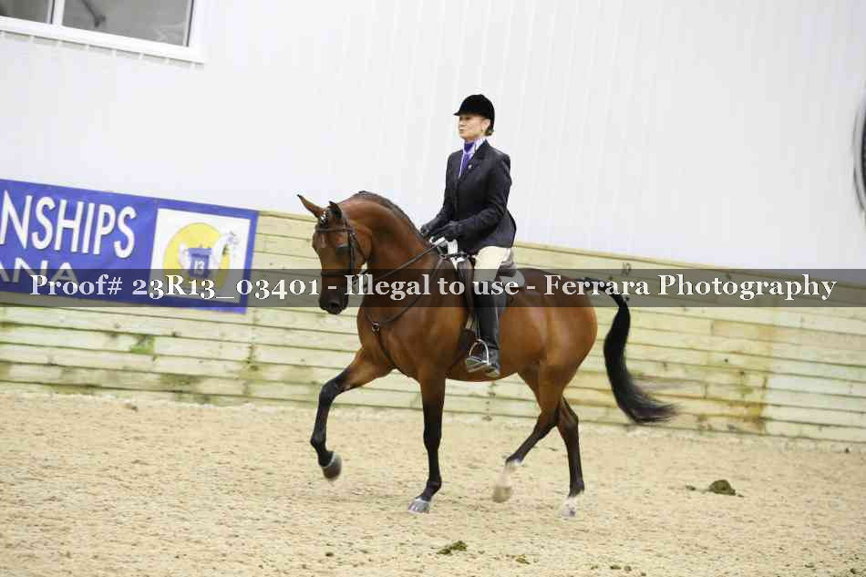 Proof 23R13_03401