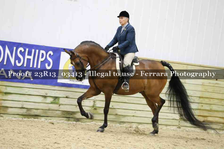 Proof 23R13_03413