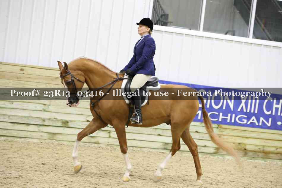 Proof 23R13_03416