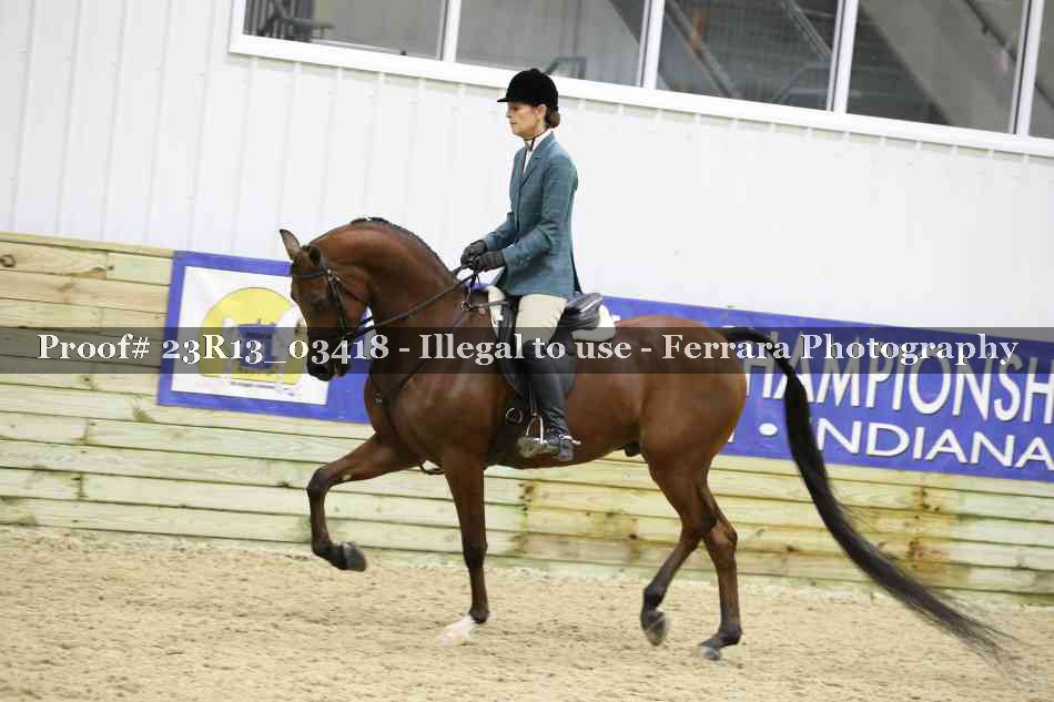 Proof 23R13_03418