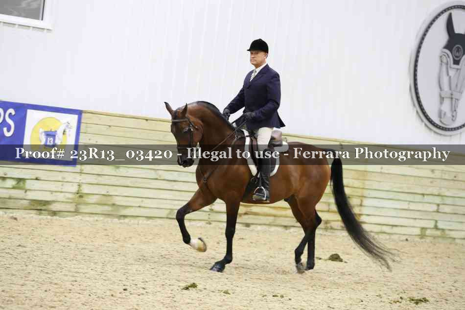 Proof 23R13_03420