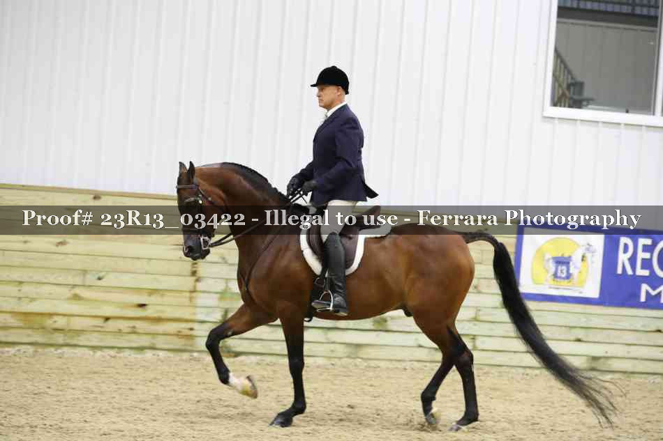 Proof 23R13_03422