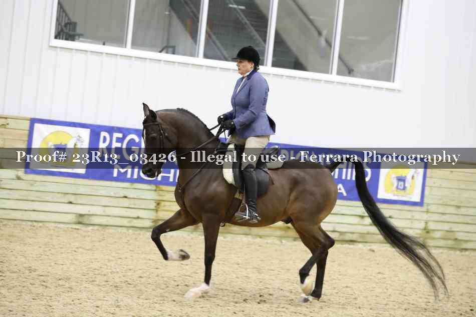 Proof 23R13_03426