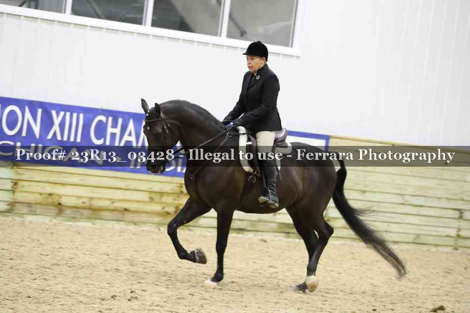 Proof 23R13_03428