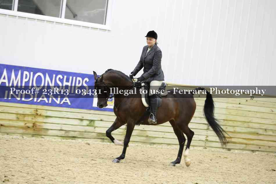 Proof 23R13_03431