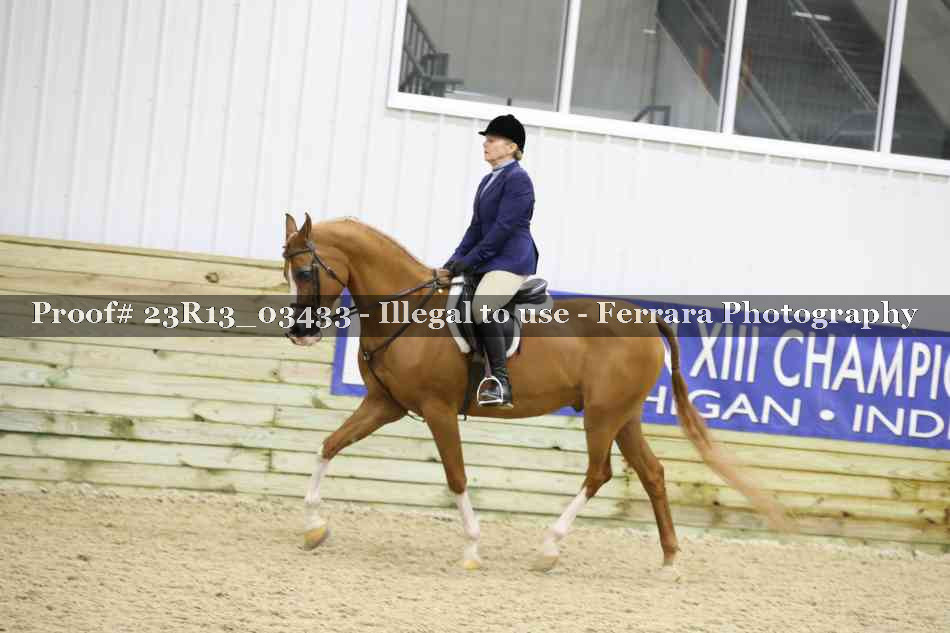 Proof 23R13_03433