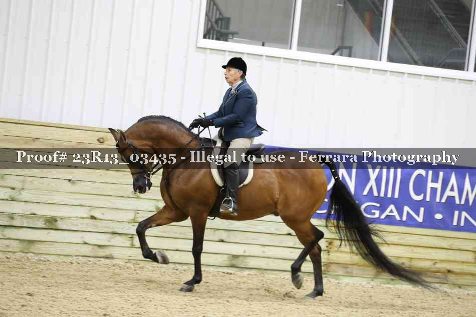 Proof 23R13_03435
