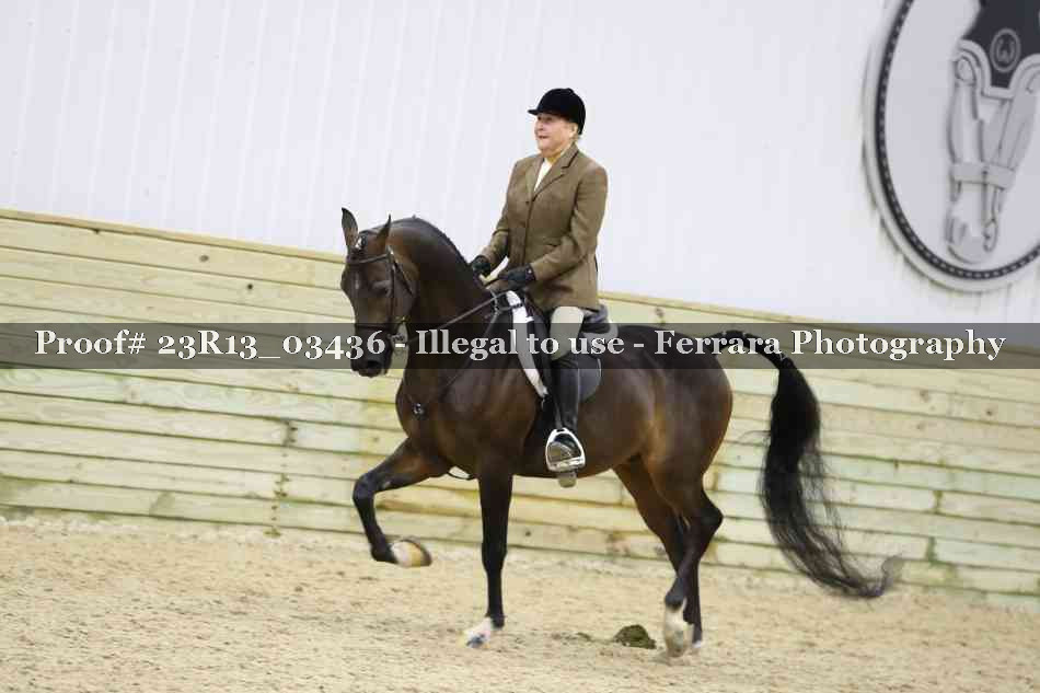 Proof 23R13_03436