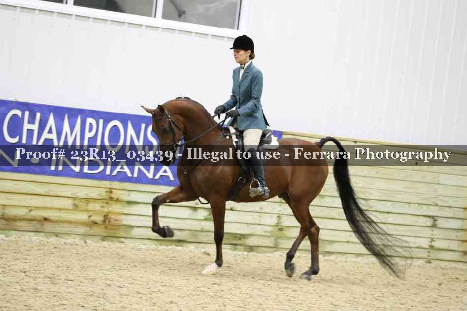 Proof 23R13_03439