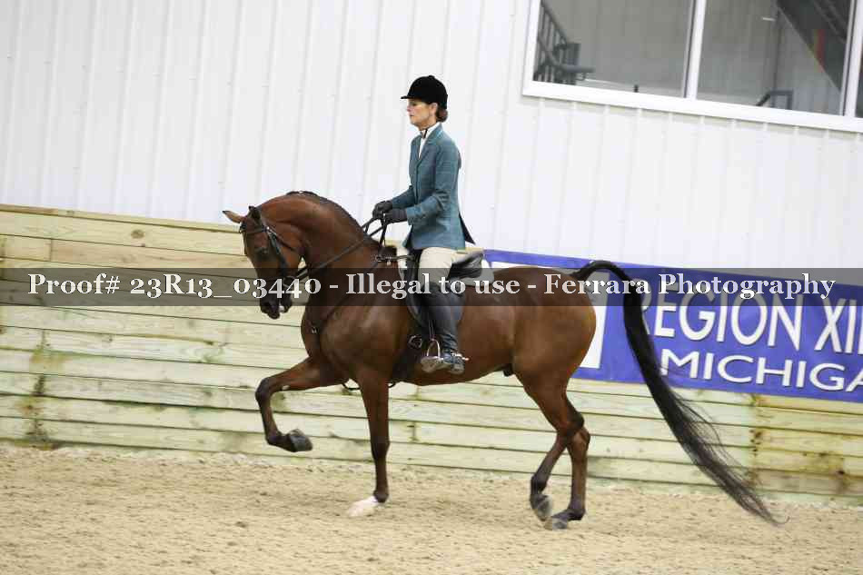 Proof 23R13_03440