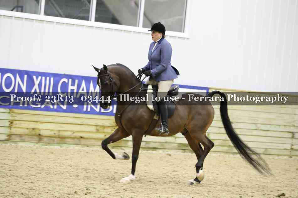 Proof 23R13_03444