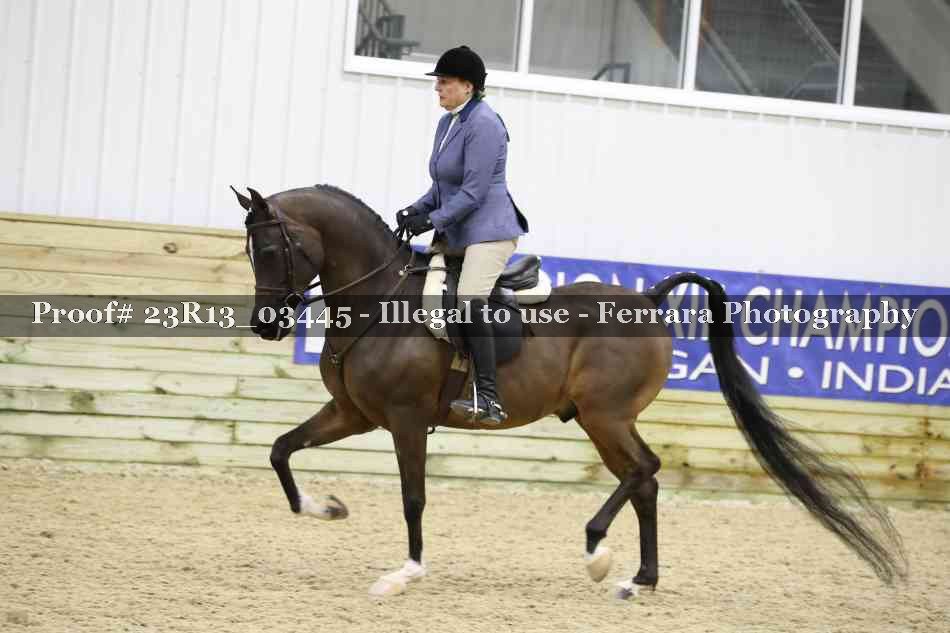 Proof 23R13_03445