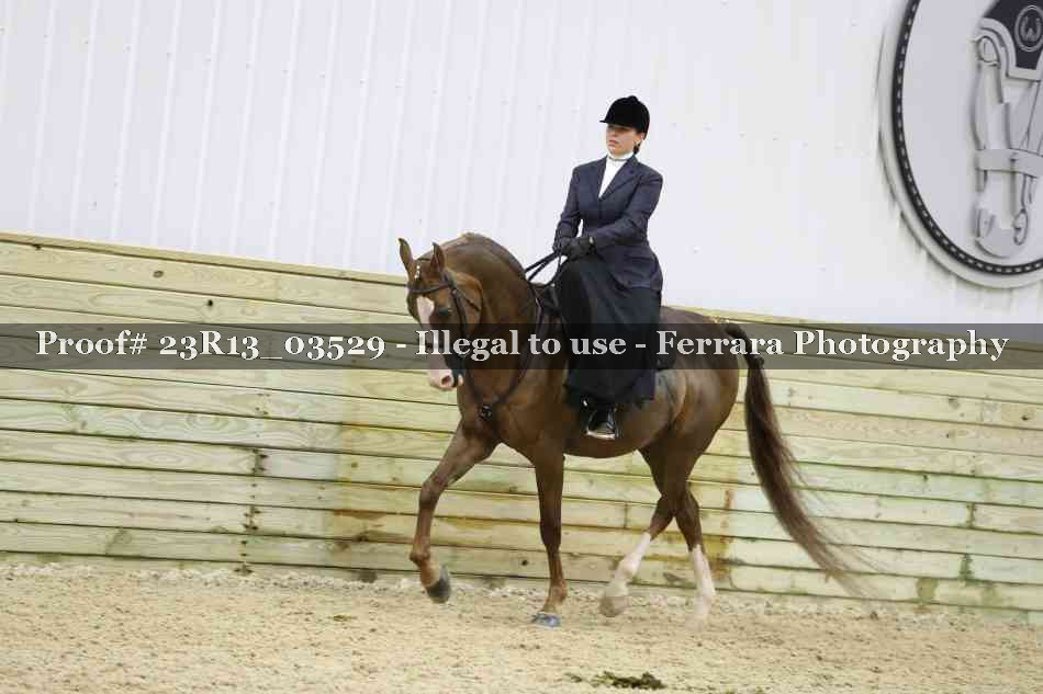 Proof 23R13_03529