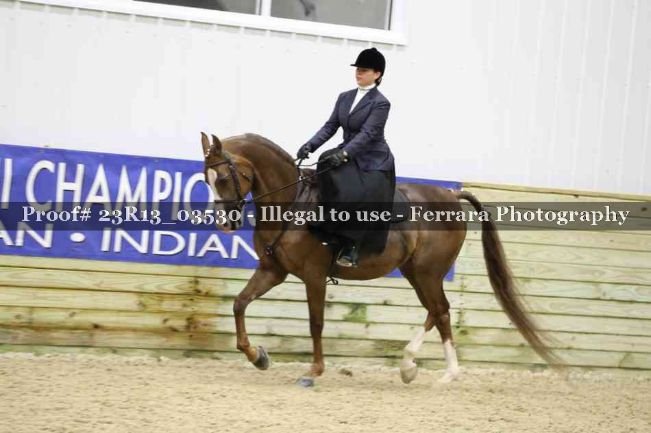 Proof 23R13_03530