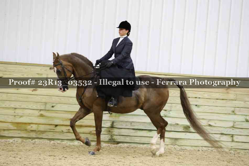 Proof 23R13_03532
