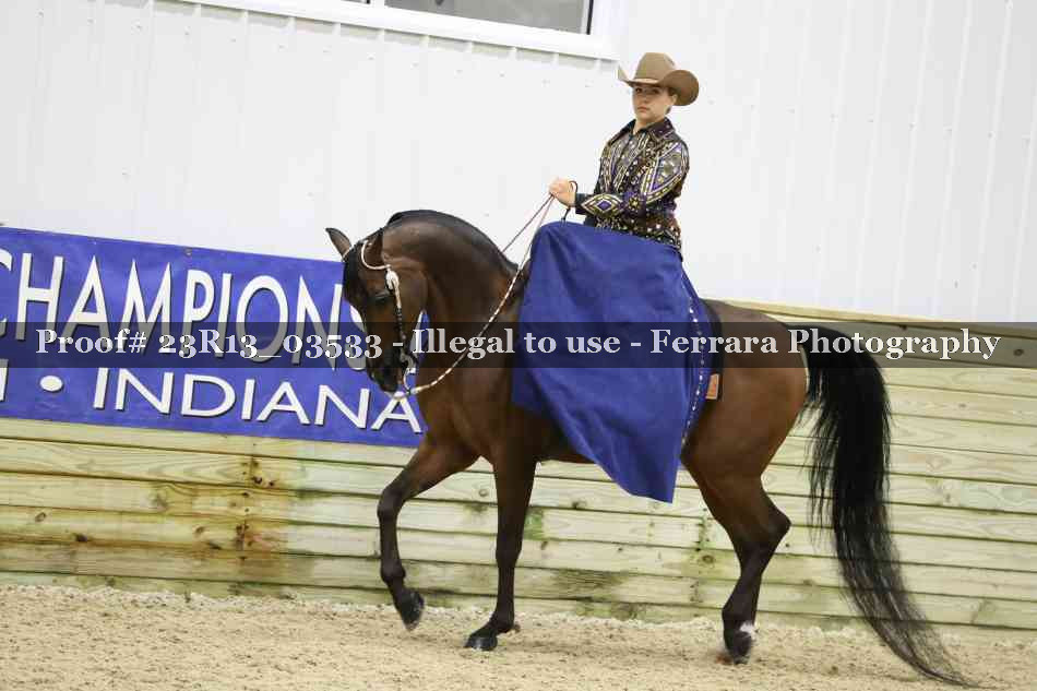 Proof 23R13_03533