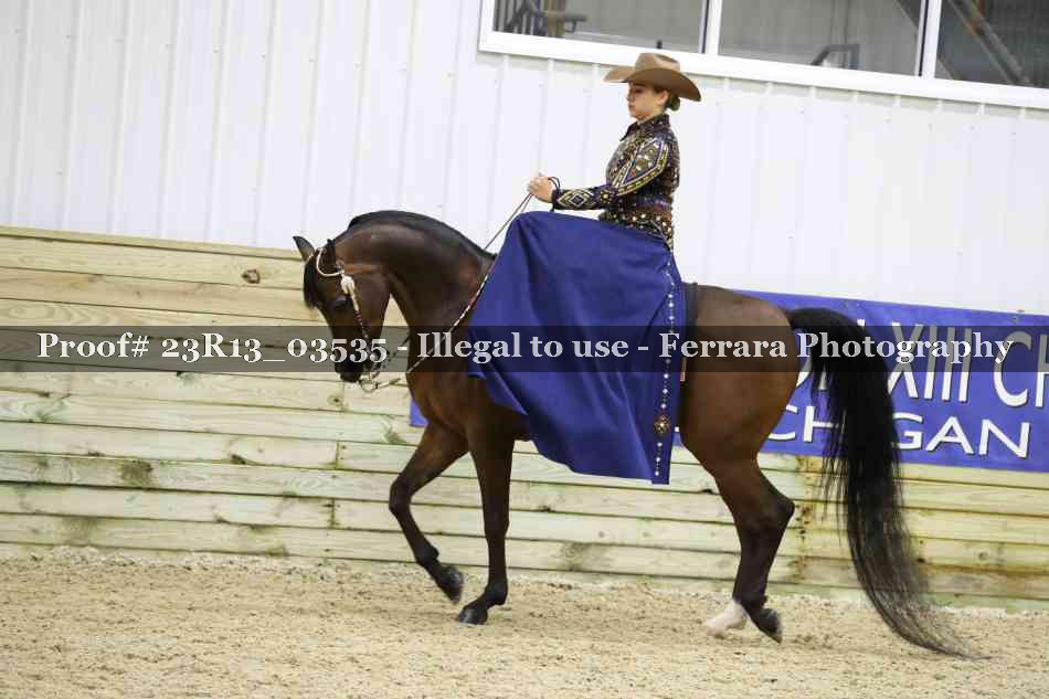 Proof 23R13_03535