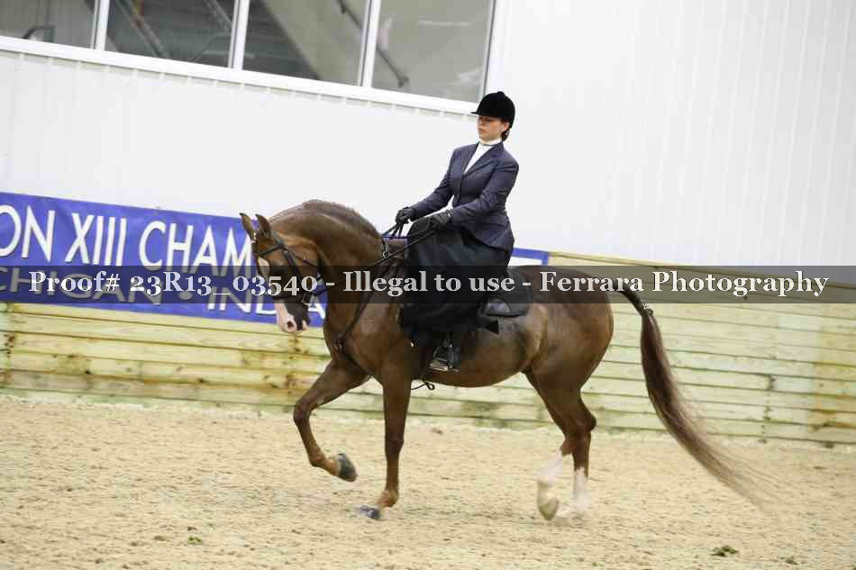 Proof 23R13_03540
