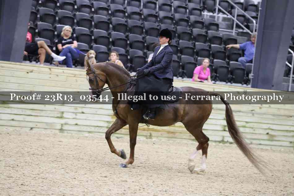Proof 23R13_03544
