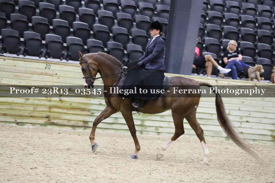 Proof 23R13_03545
