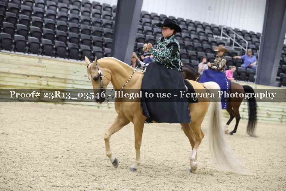 Proof 23R13_03546
