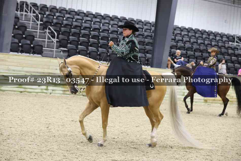 Proof 23R13_03547