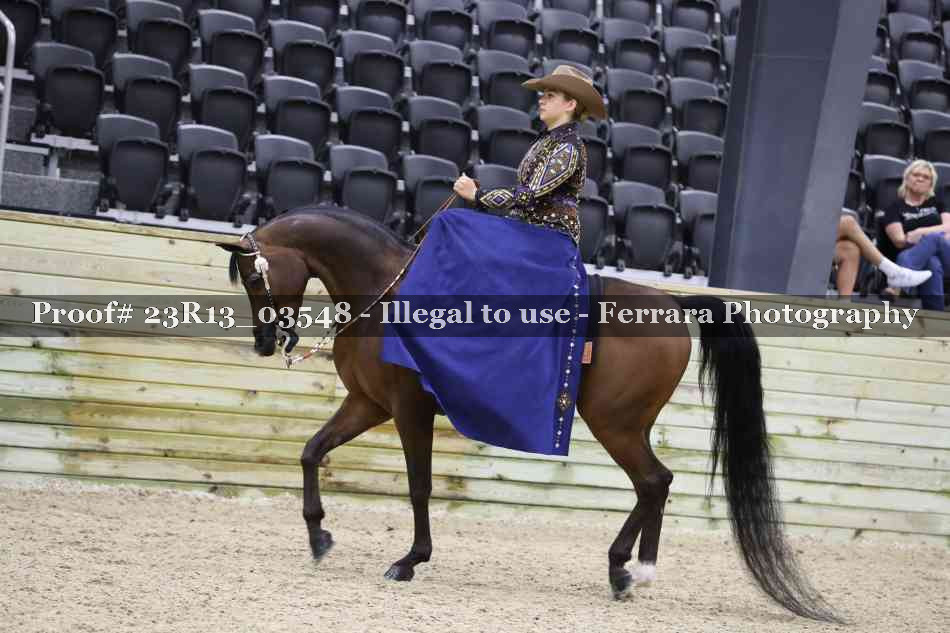 Proof 23R13_03548