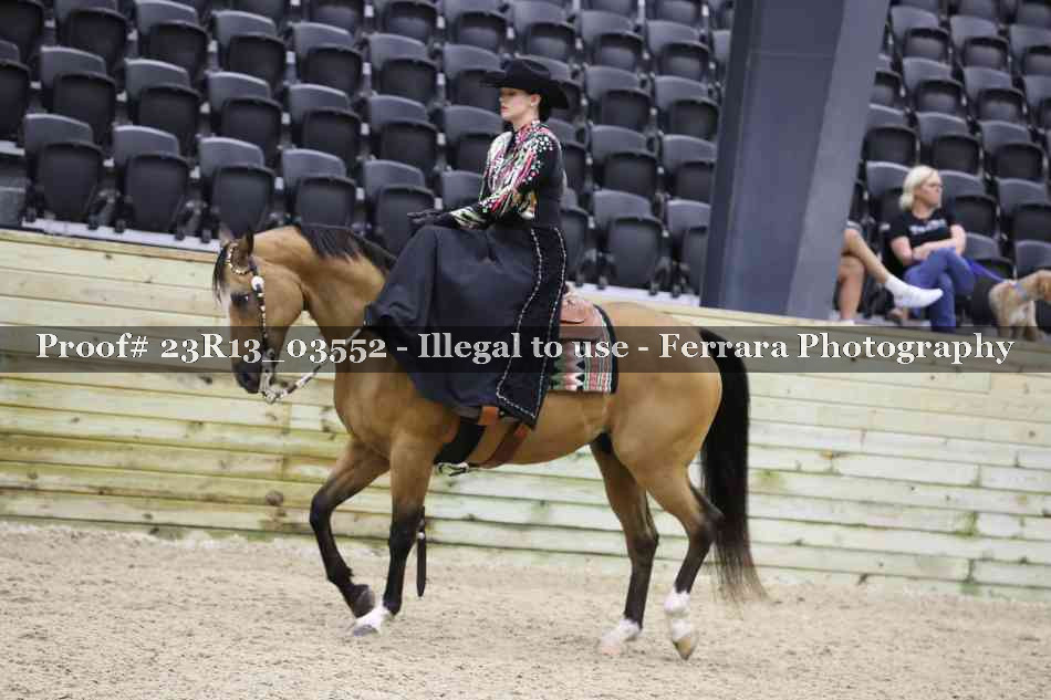 Proof 23R13_03552