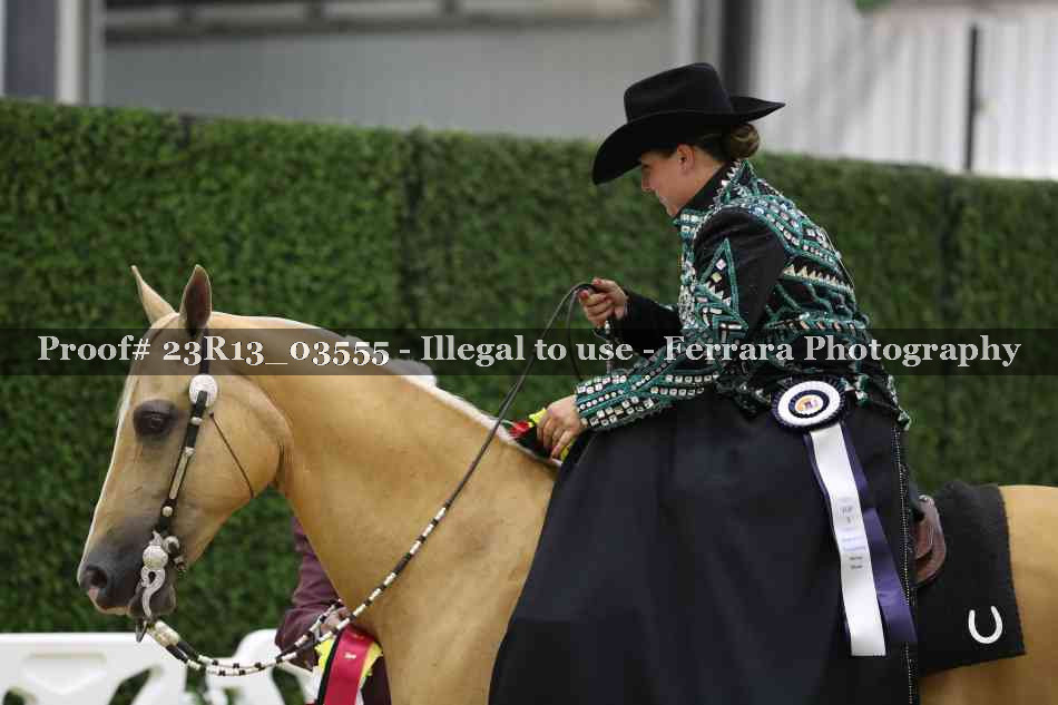 Proof 23R13_03555