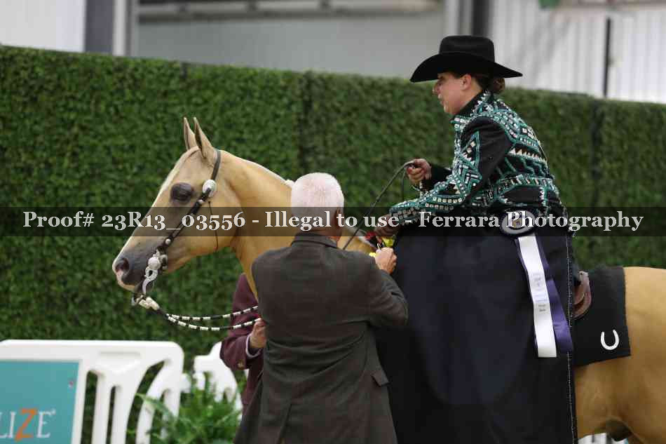 Proof 23R13_03556