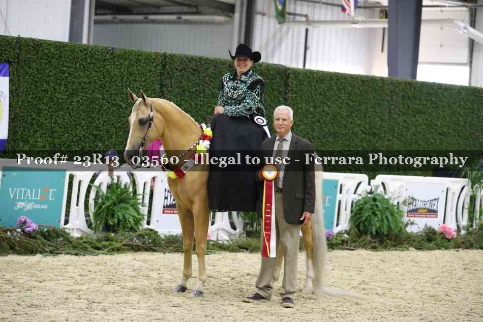 Proof 23R13_03560