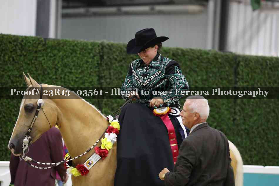 Proof 23R13_03561